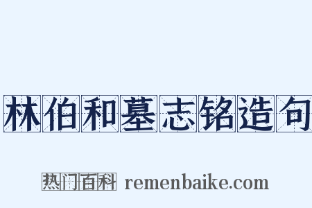 林伯和墓志铭造句是什么意思的图片